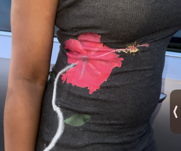 Harlem Leaks Hibiscus Dress 🌺
